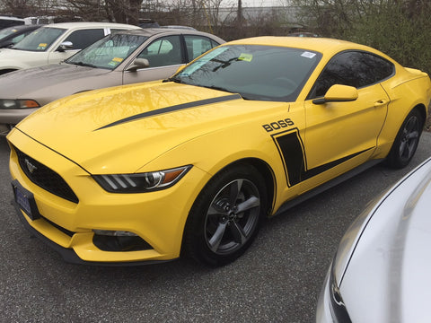 Custom Rocker Kit for 2015 - 2021 Ford Mustang